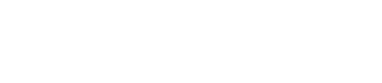Logo von Stousn. Das o ist ein Totenkopf ohne Unterkiefer